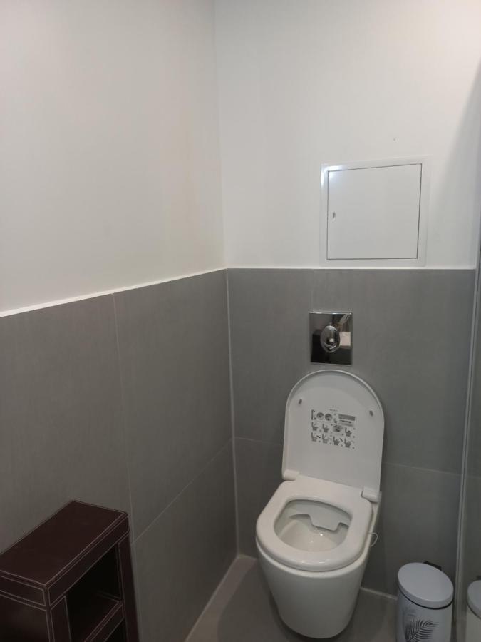 Le Gerwig Colmar Centre Apartment Ngoại thất bức ảnh